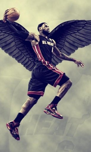 Lebron James Wallpapers截图3