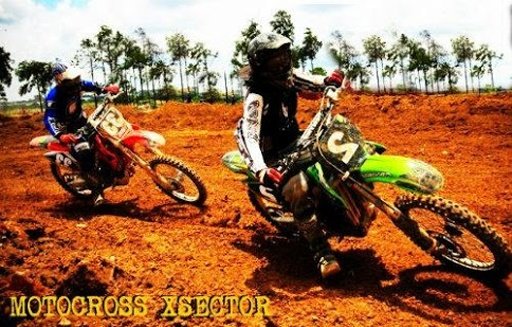 MotoCross Xsector截图2