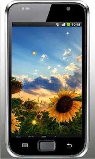 Sunflower Sunset liv wallpaper截图2