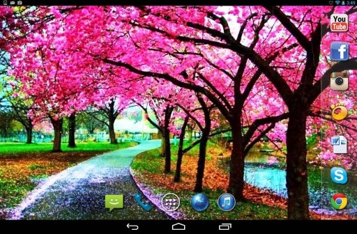 Sakura Dreams live wallpaper截图2