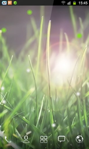 Soft Grass Wallpaper截图5