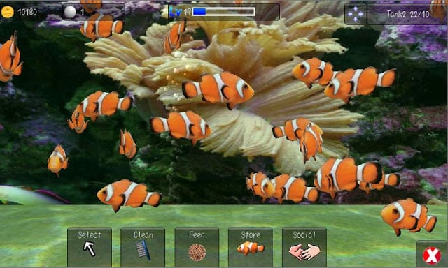 Aqualand+ 3D Fish aquarium截图2