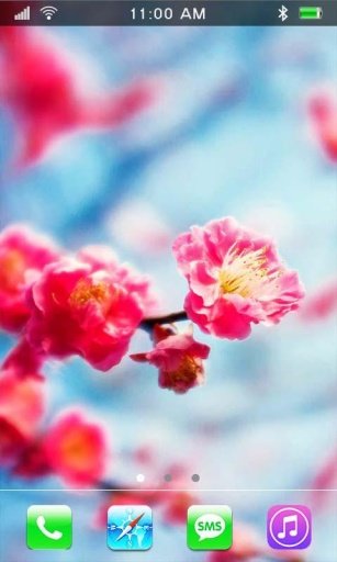 Sakura Dreams live wallpaper截图1