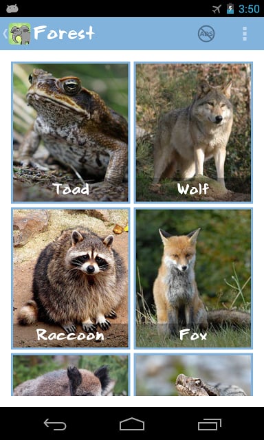 Animal Family Sounds截图2