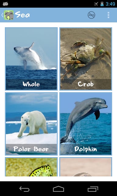 Animal Family Sounds截图11