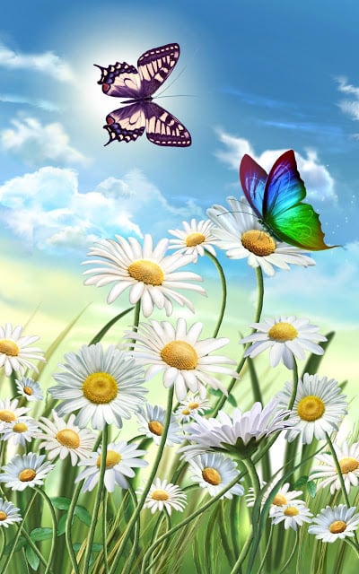 Flowers and Butterflies截图10