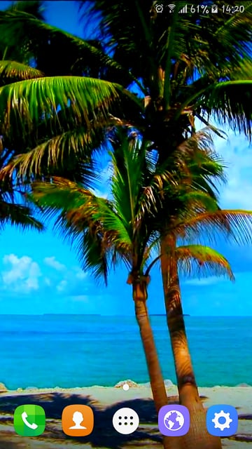 Beach Trees Live Wallpaper截图7