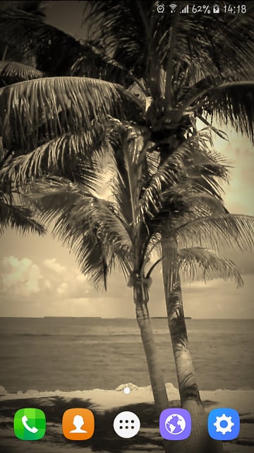 Beach Trees Live Wallpaper截图9