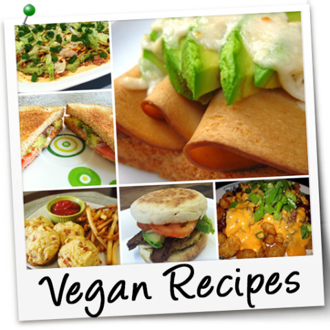 Vegan Recipes截图1