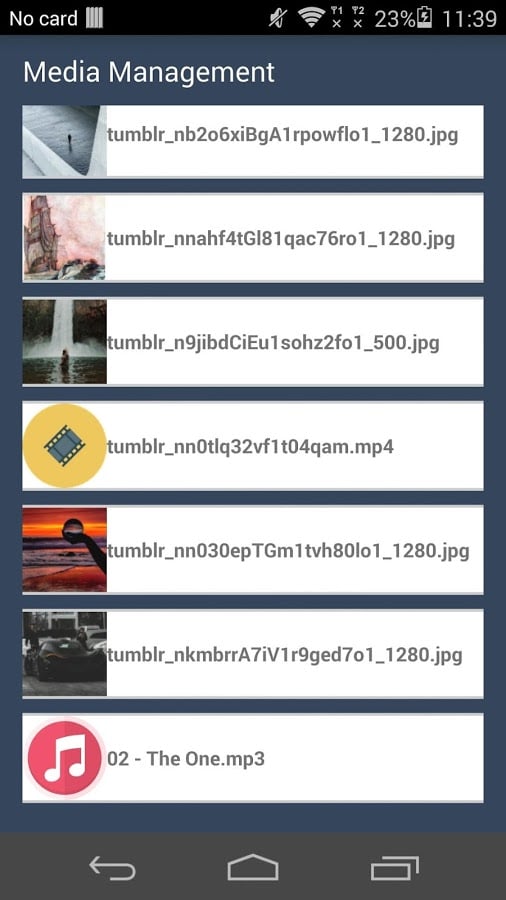 Tumblr下载器Tumbloader截图4