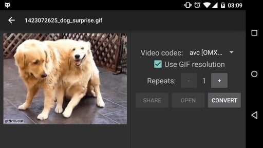 Convert GIF to Video & S...截图2