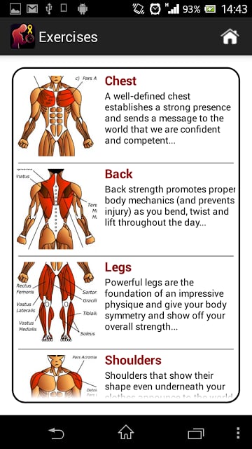 Dumbbell Only Workout Plan截图10
