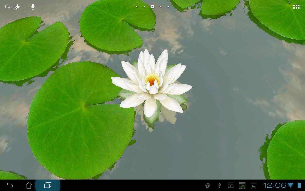 3D Lotus Live Wallpaper Free截图11