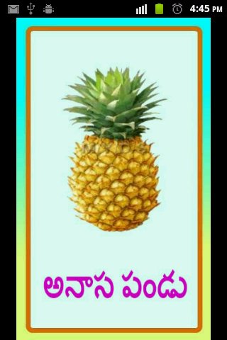 Fruits in Telugu截图10