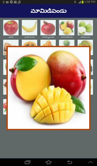 Fruits in Telugu截图6