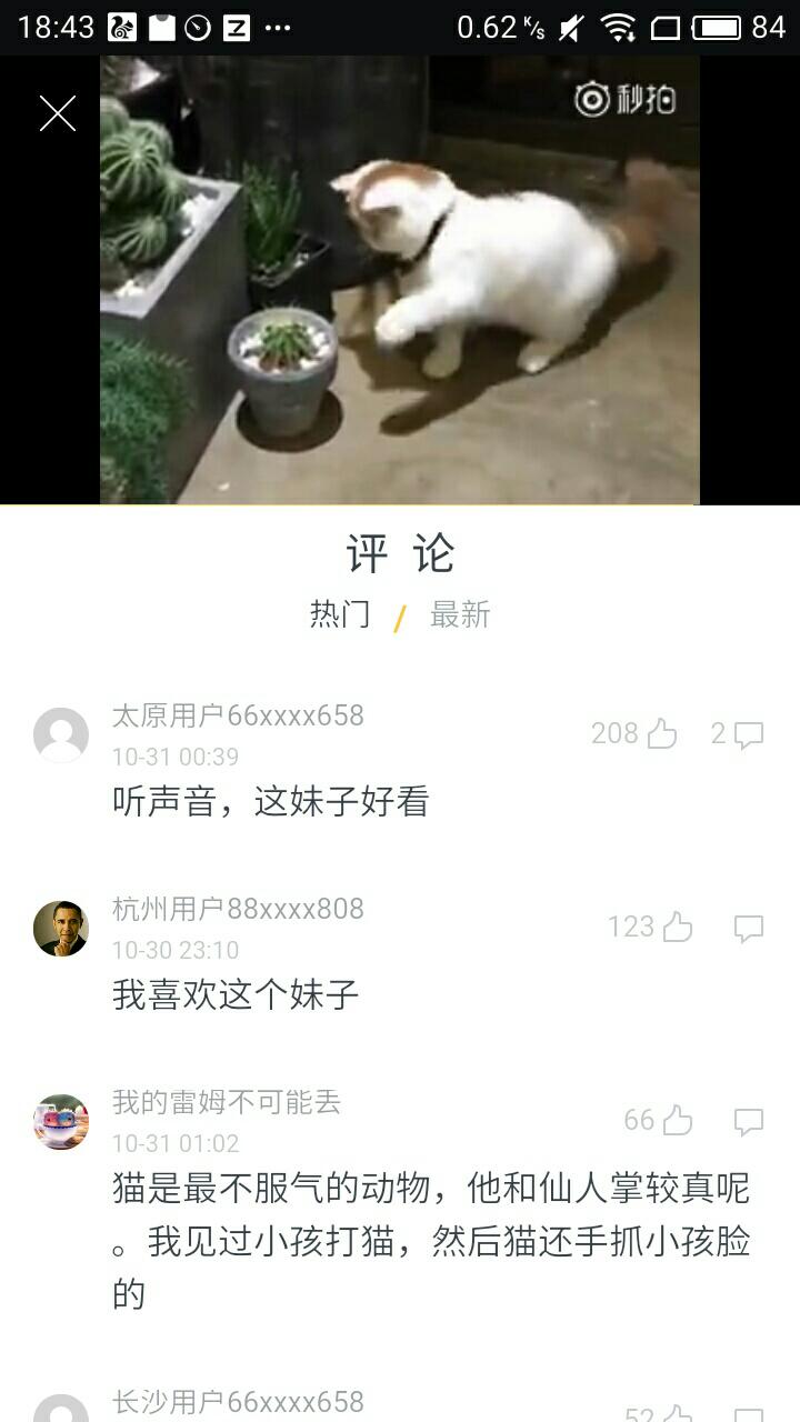 辣眼小视频截图4