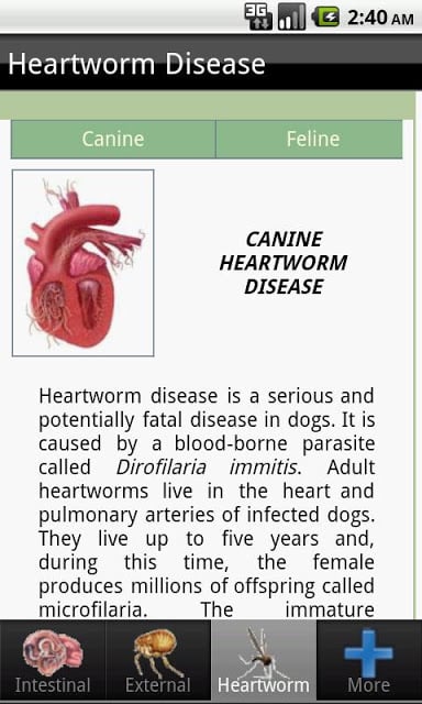 Parasites of Dogs and Cats截图3