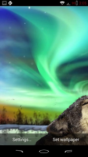 Northern Lights Wolf截图3