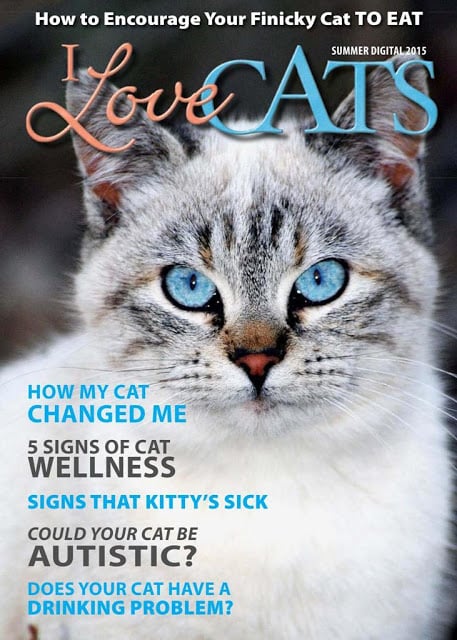 I Love Cats Magazine截图8