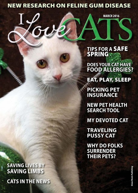 I Love Cats Magazine截图4