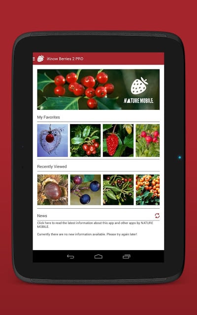 Wild Berries and Herbs FREE截图11