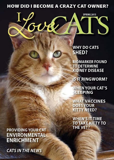 I Love Cats Magazine截图7