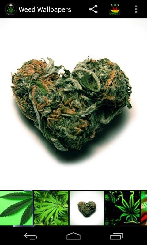 Weed HD Wallpapers截图1