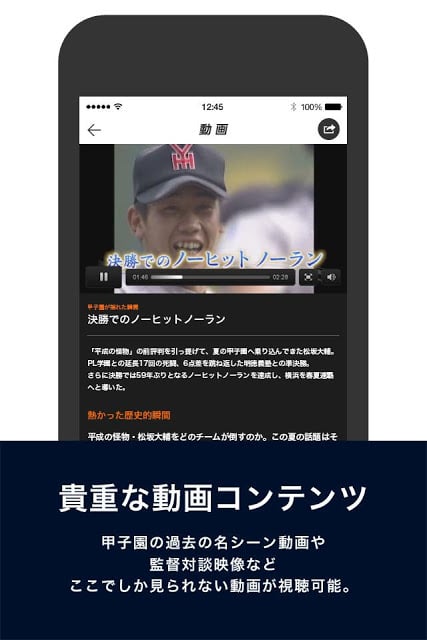 バーチャル高校野球截图1