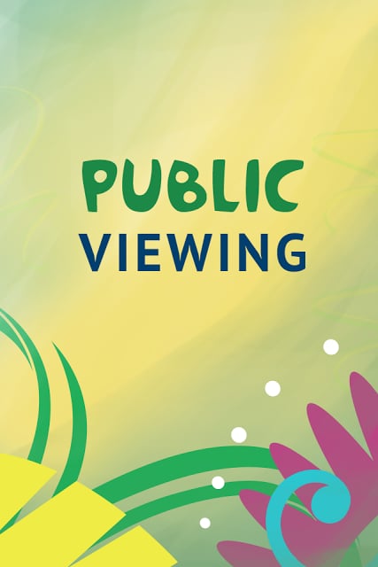 Public Viewing截图2