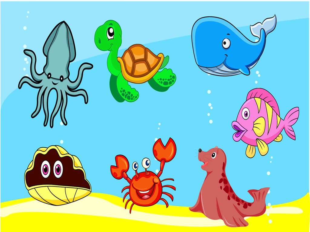 海洋动物的益智游戏截图2