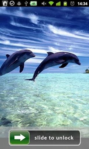 Dolphin Lock Screen Wallpaper截图3