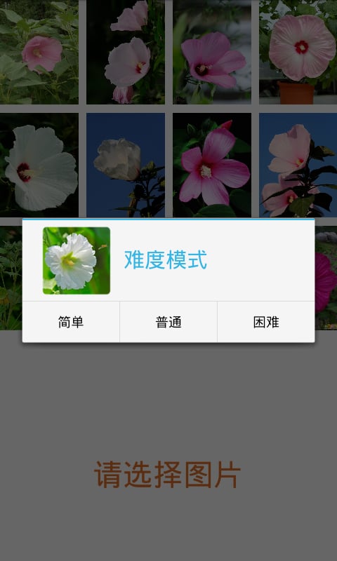 拼图之芙蓉葵截图1