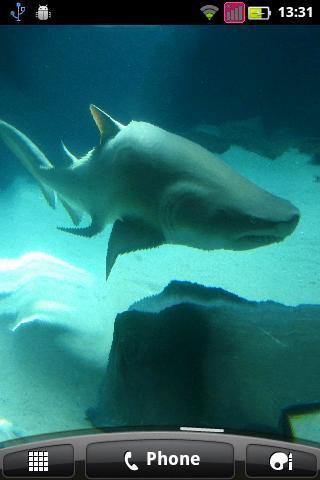 Underwater Shark截图3