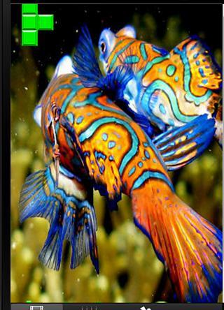 Fish Live!截图1