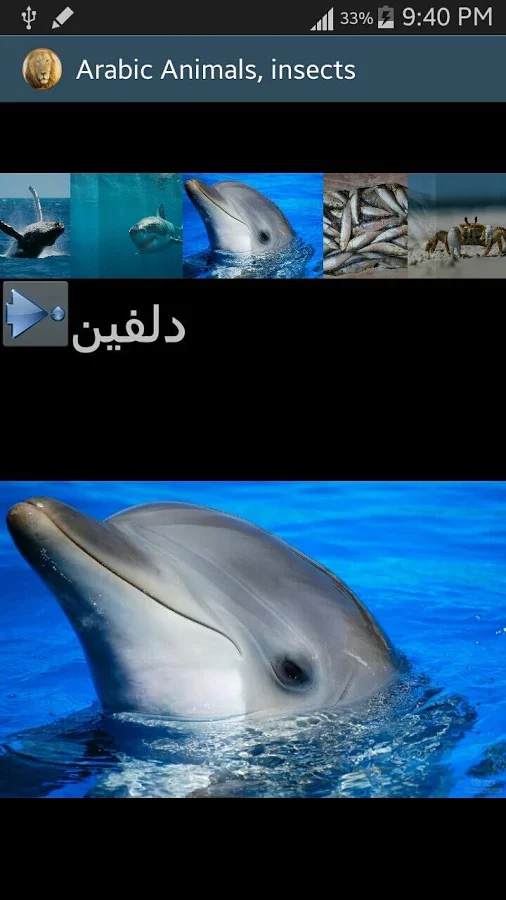 Arabic Picture animals截图6