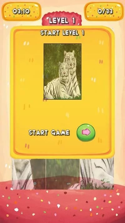 Tiger Jigsaw Puzzles截图2