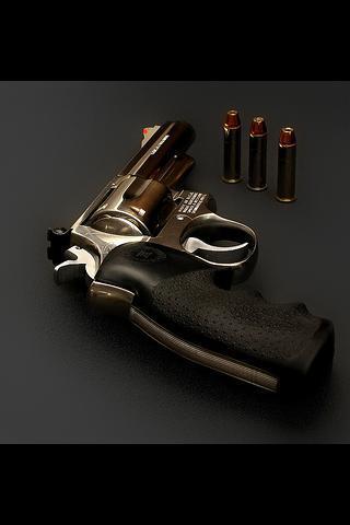 Weapons : Magnum 357截图1