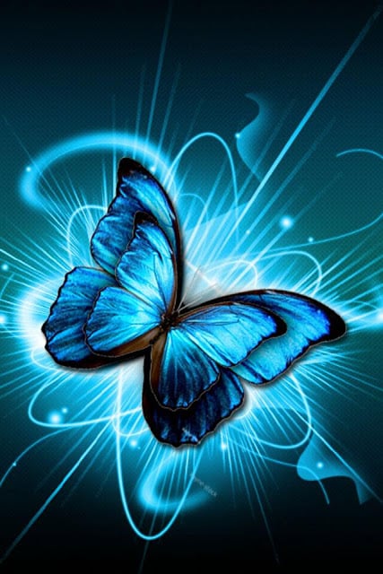 Butterfly Wallpaper截图1