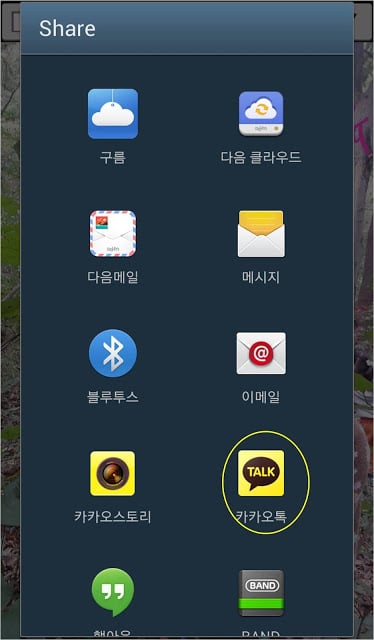 악토퍼스 testVesion截图1