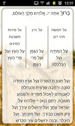 Susman Schwartz Birkat Hamazon截图3