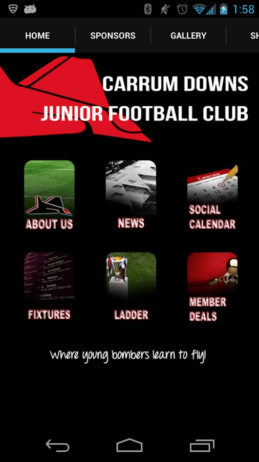 Carrum Downs Junior FC截图4