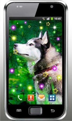 Pet Dog Free live wallpaper截图2