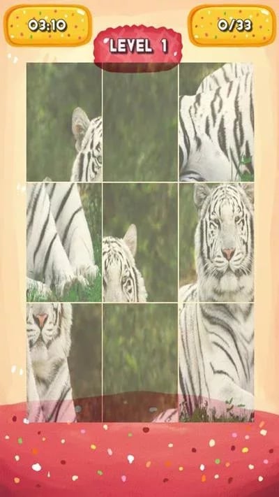 Tiger Jigsaw Puzzles截图1