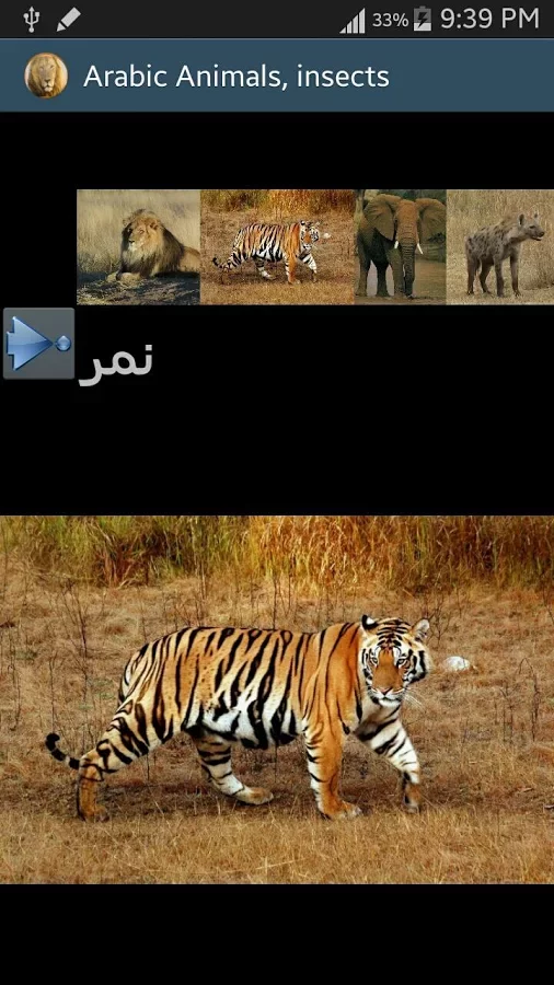 Arabic Picture animals截图4