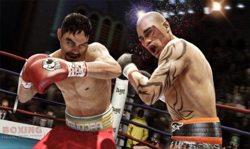 Boxing Real Fighter截图1