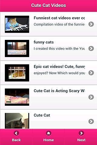 Cute Cat Videos截图3