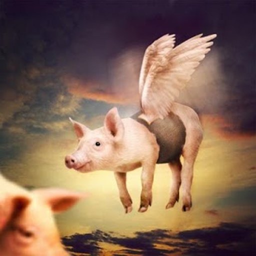 Pigs jigsaw puzzles截图3