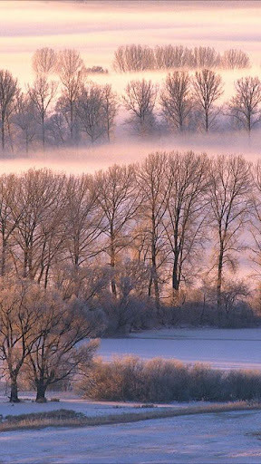 Winter Wallpaper Mega-Pack截图2