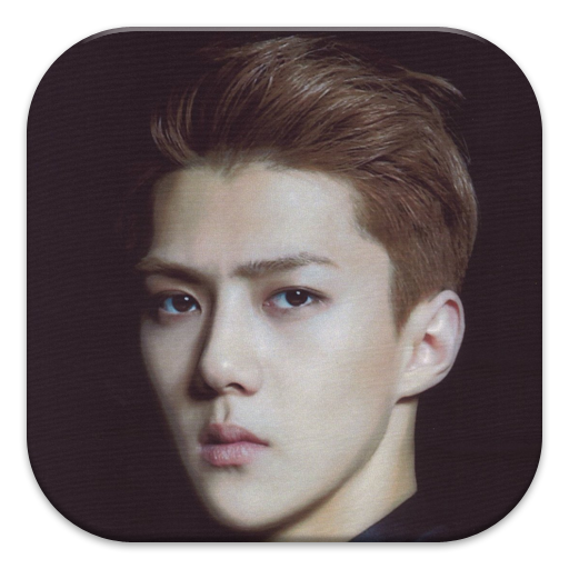 EXO Oh Sehun Puzzle Games截图1