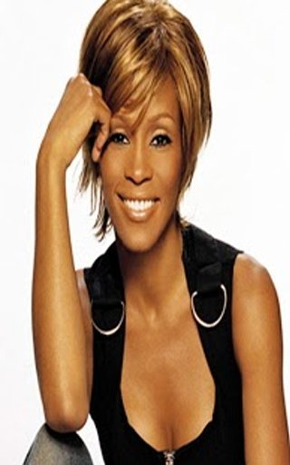 Whitney Houston GameDifference截图3